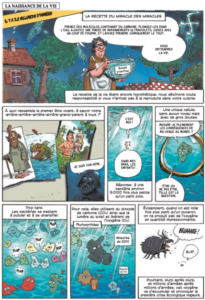 L'incroyable histoire de l'humanité - Catherine Mory, Jean Grataloup et Philippe Bercovici - Les Arènes BD